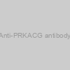 Anti-PRKACG antibody